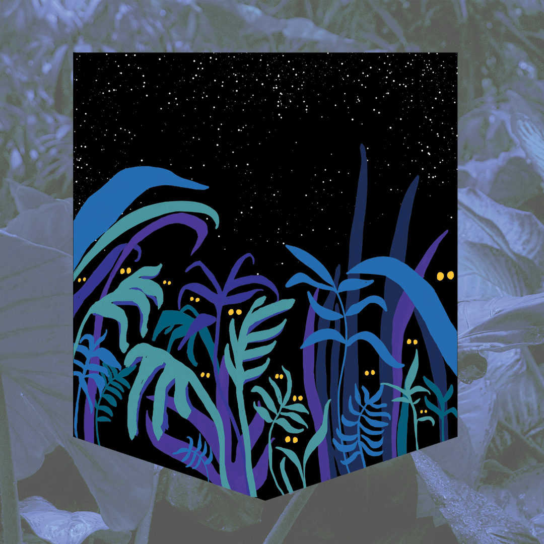 Jungle Pocket — Rocket Pocket